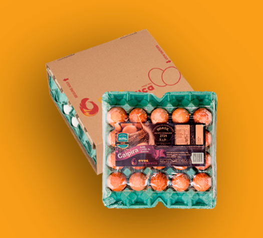 images/produtocor/Combo Dupla Delícia